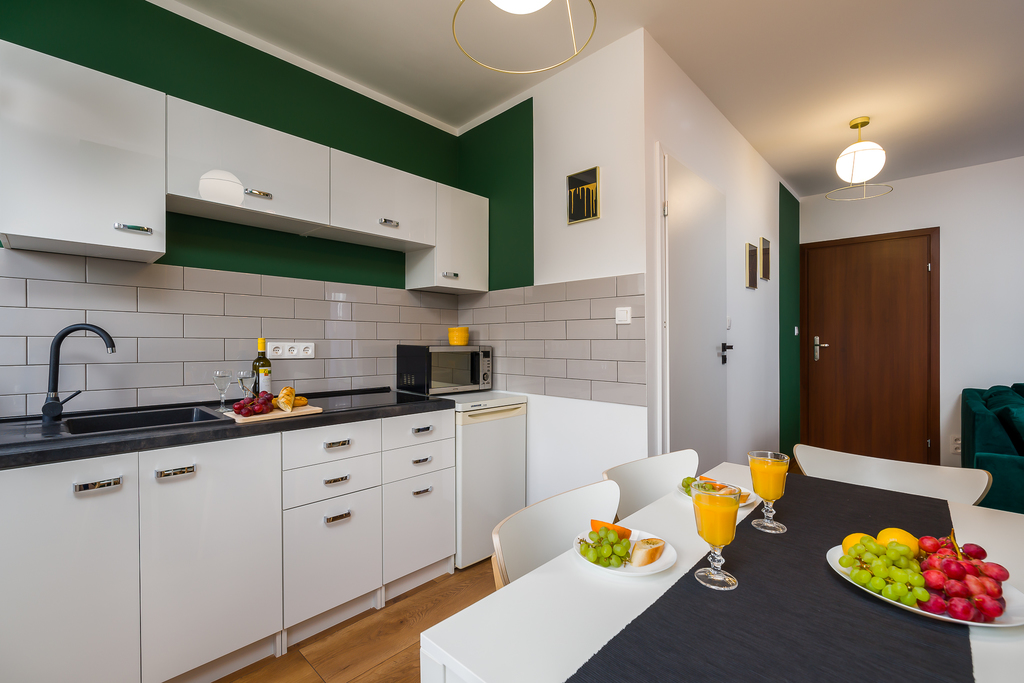 apartamenty poznań centrum green dream - kuchnia